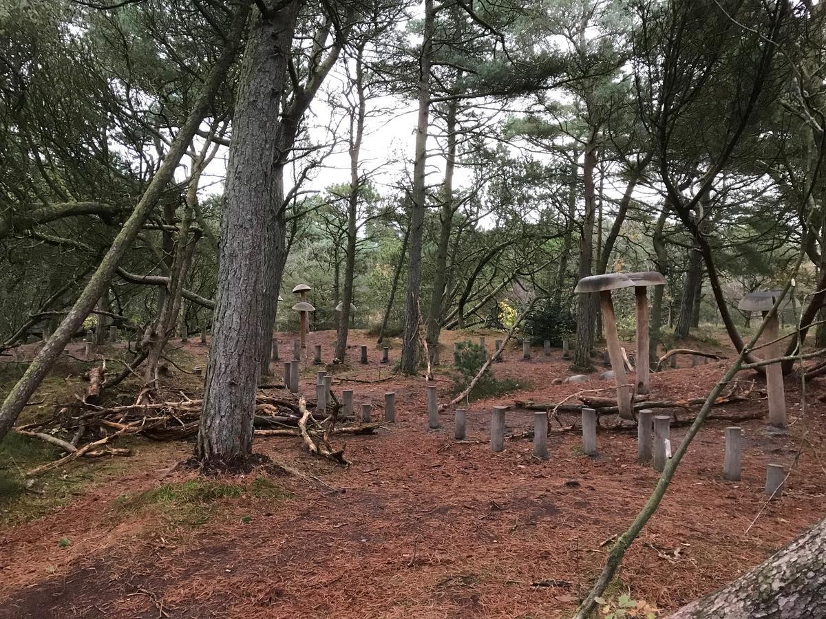 Gulirisvej Havneby Romo Lägenhet Rømø Kirkeby Exteriör bild
